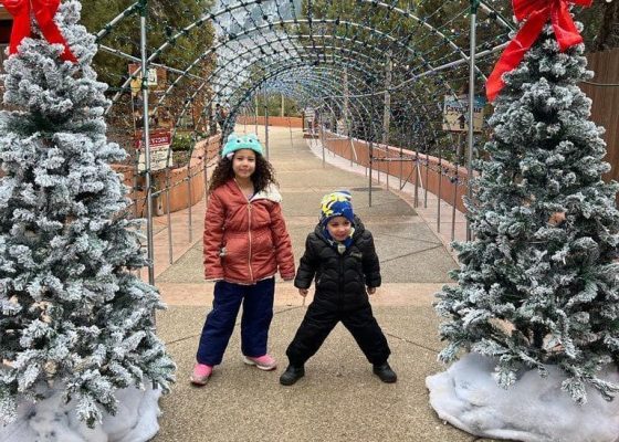 Ski resort transportation via luxury executive van for mountain travel.