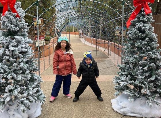 Ski resort transportation via luxury executive van for mountain travel.